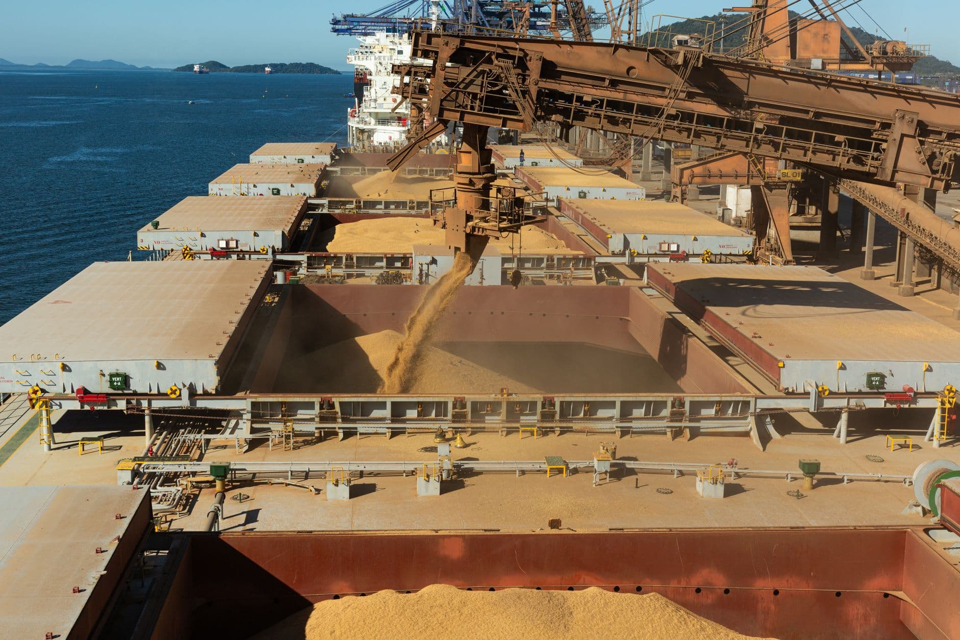 2025 Grain Transport Logistics: Costs, Causes, & the Expert Fix