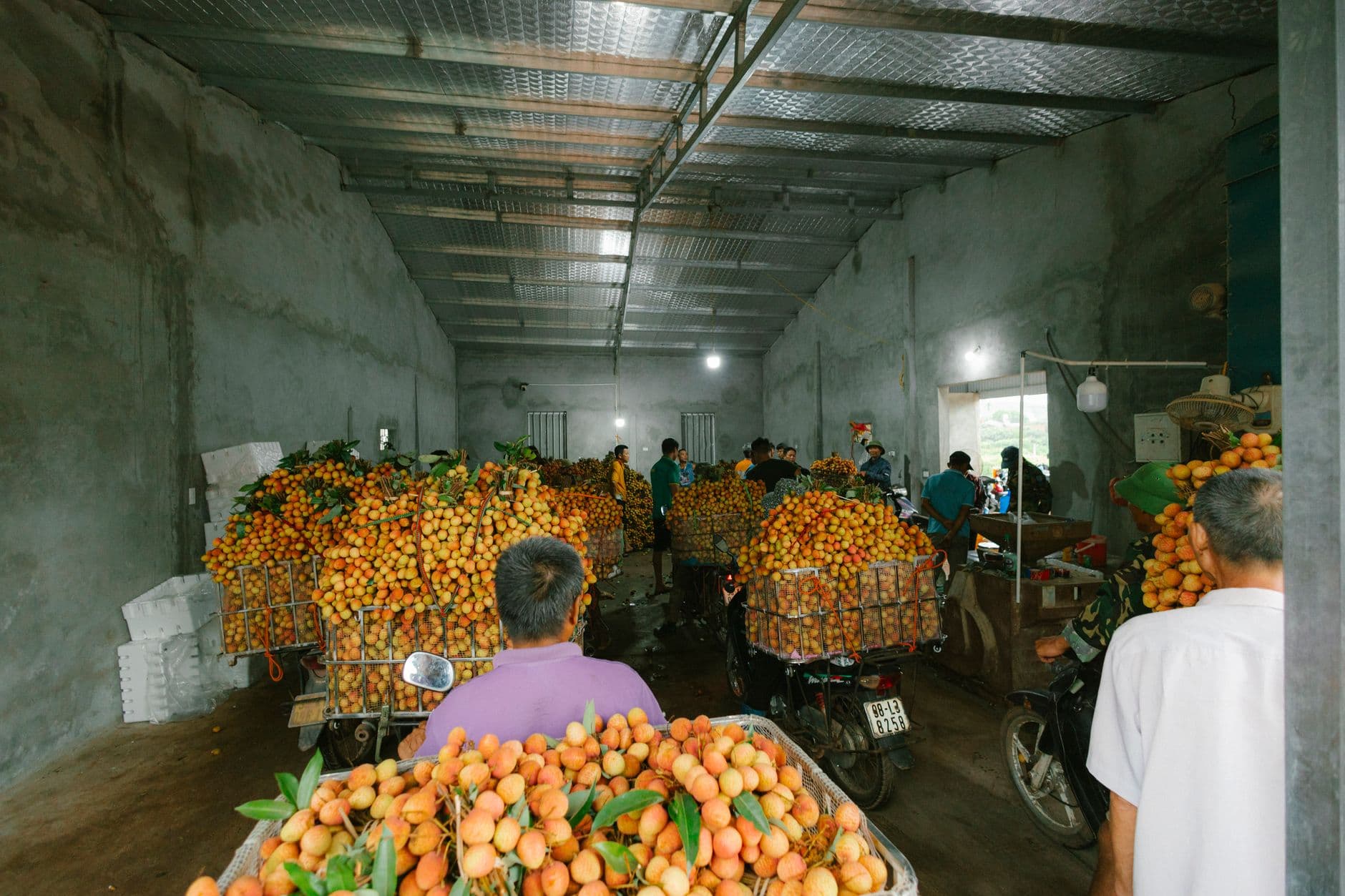 The 2025 Produce Export Logistics Playbook: Cut Spoilage by 25%