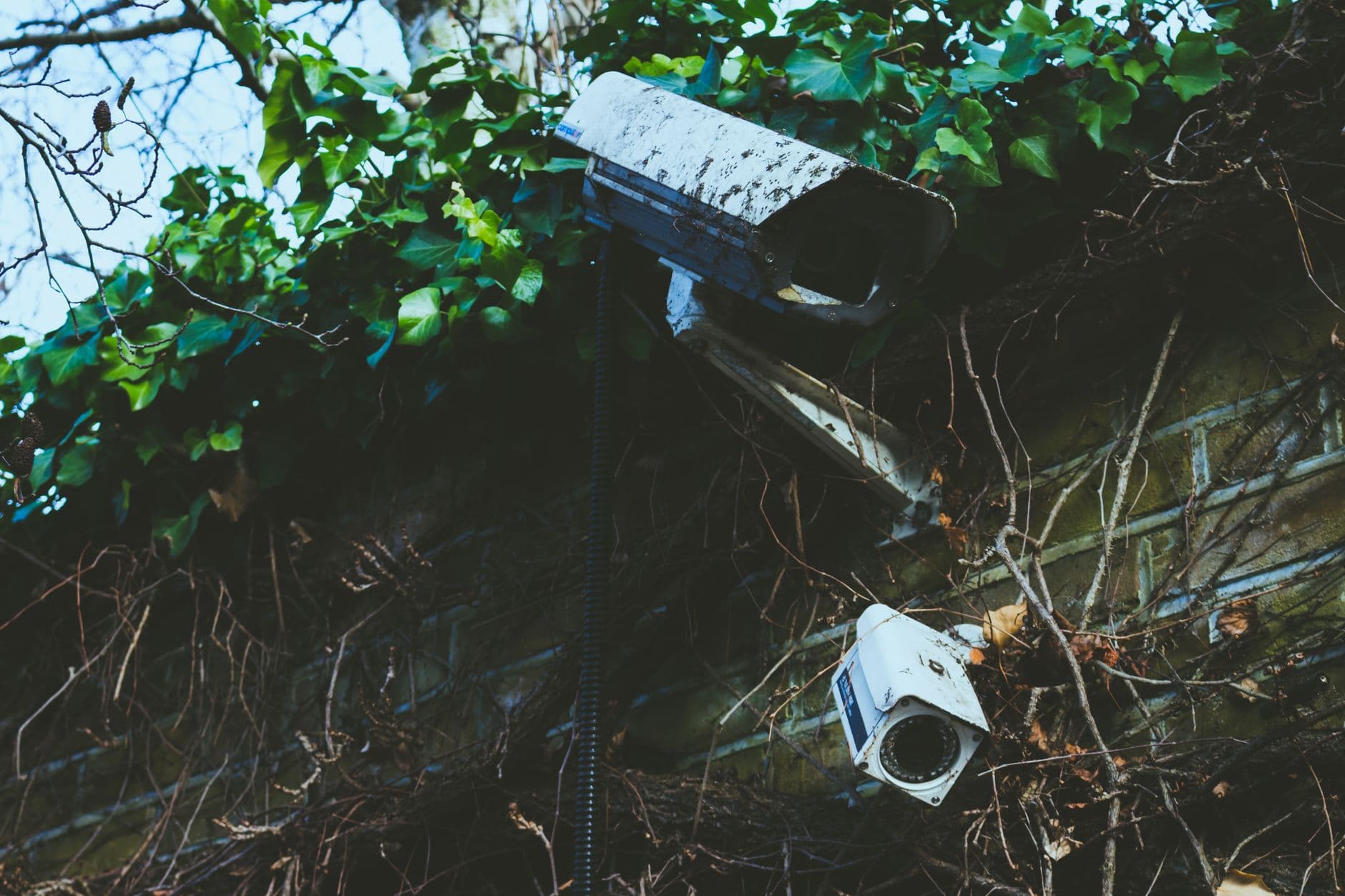 2025 Cargo Theft Claims Playbook: Prevent Loss & Maximize Recovery