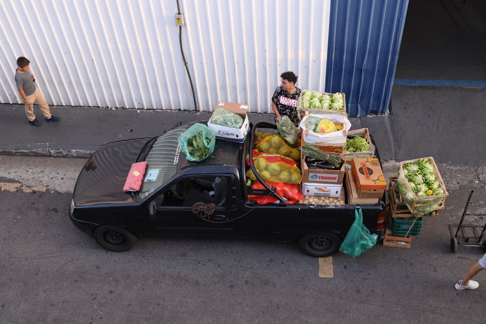 Global Produce Logistics: Extend Shelf Life, Improve Profit