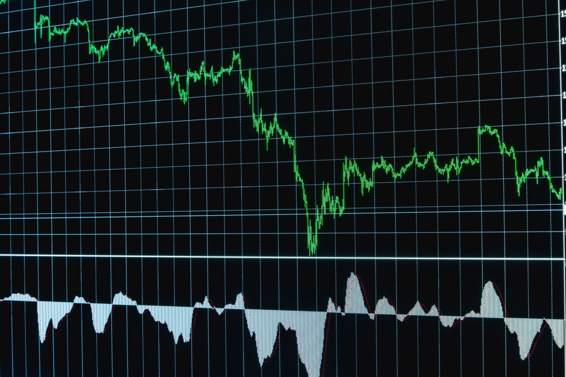 The 2025 Freight Market Downturn Playbook: Protect Profits & Grab Market Share