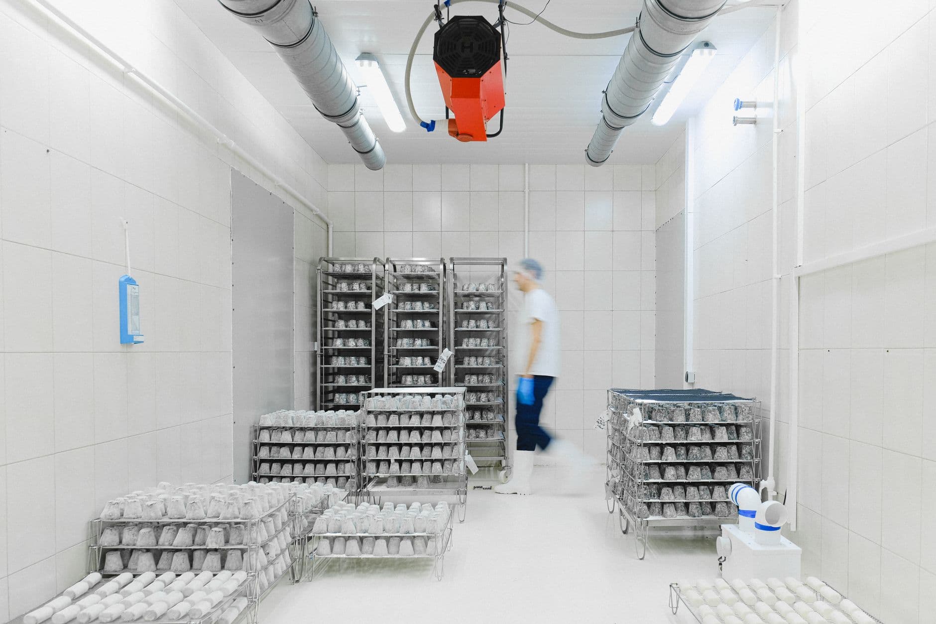 The 2025 Biopharma Cold Chain Playbook: Ensure Integrity & Compliance