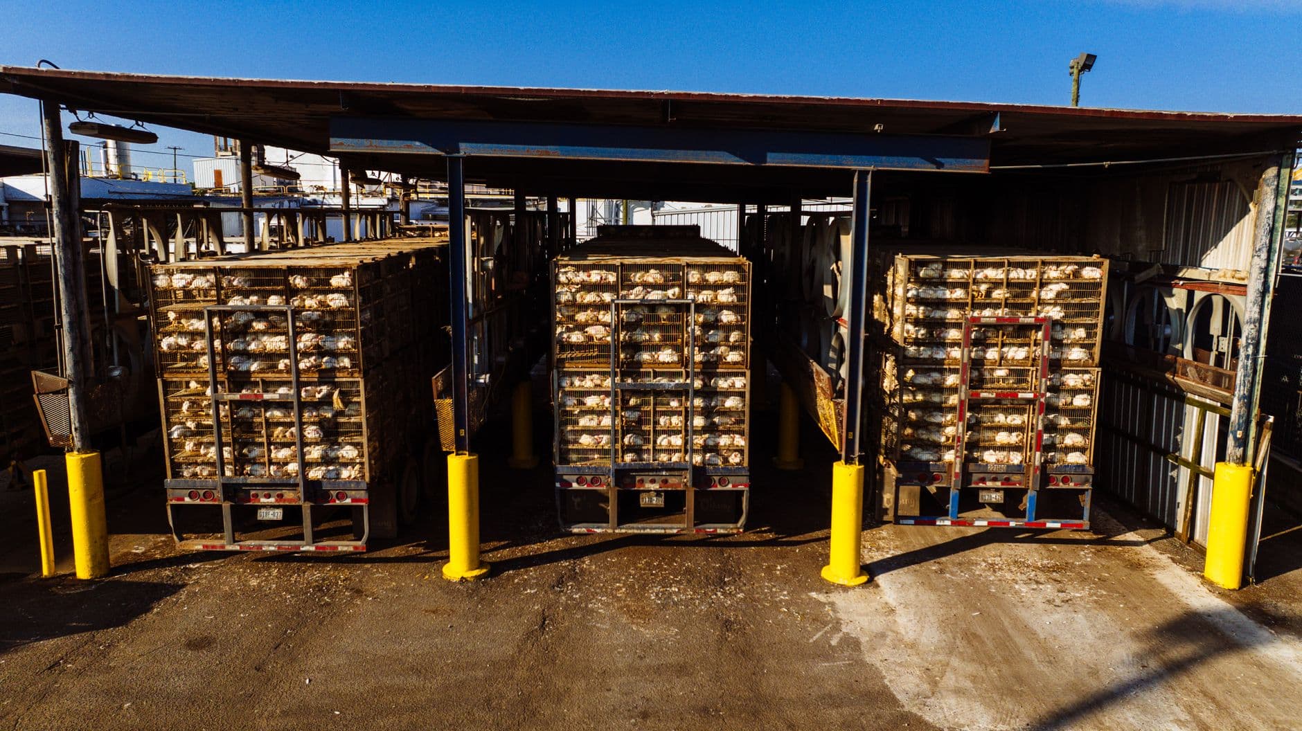 The Agribusiness Logistics Playbook: Stabilize Costs & Secure Capacity