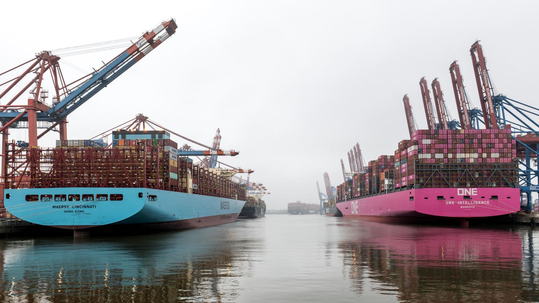 The 2025 Port Congestion Playbook: Slash Delays & Drayage Costs