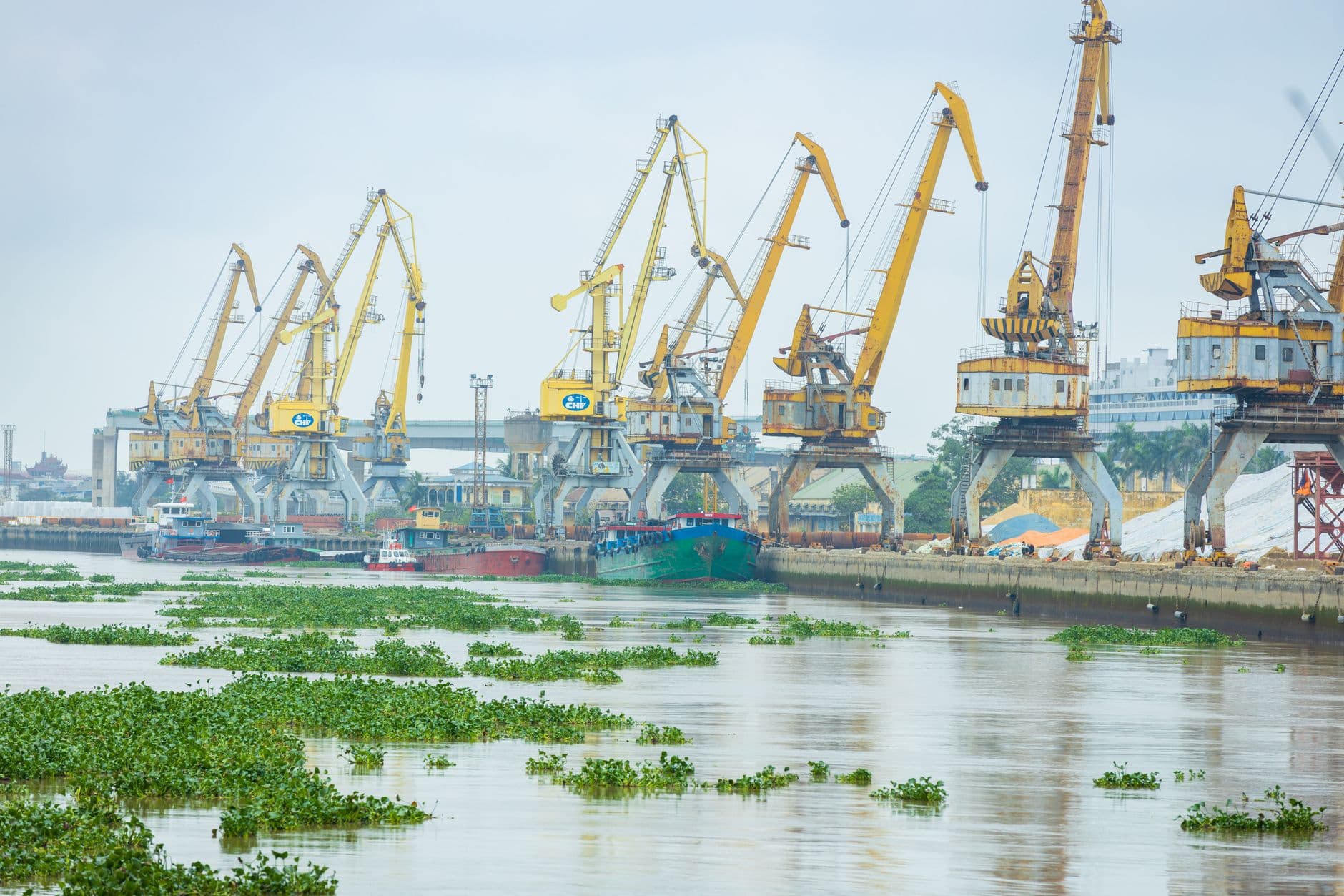 Port Demurrage & Detention: Causes, Costs, and Strategies